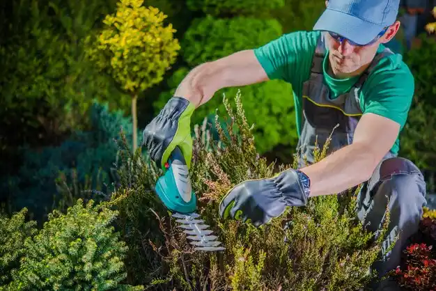 landscaping services Whitesville